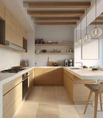Modular Kitchen Design